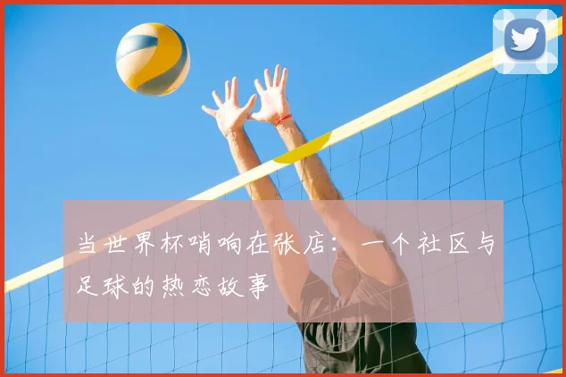 当世界杯哨响在张店:一个社区与足球的热恋故事