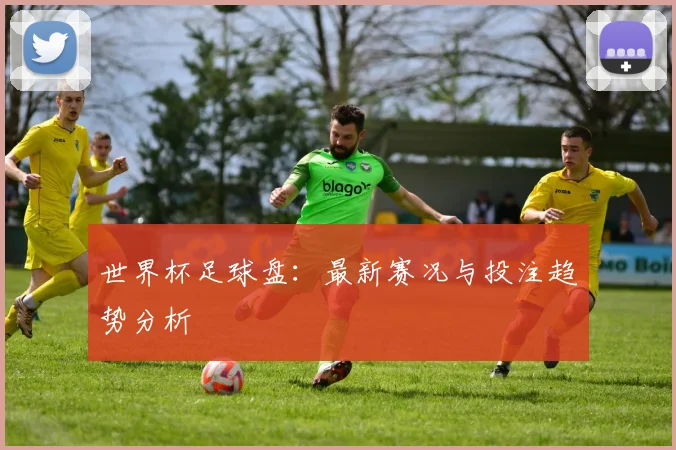 世界杯足球盘:最新赛况与投注趋势分析