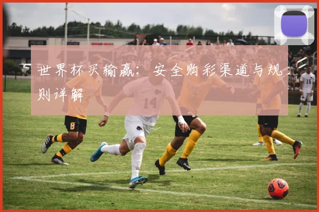 世界杯买输赢:安全购彩渠道与规则详解