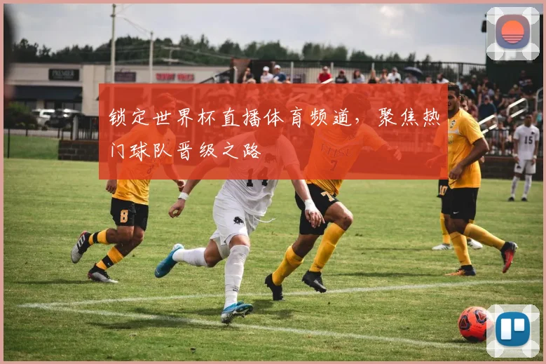 锁定世界杯直播体育频道，聚焦热门球队晋级之路